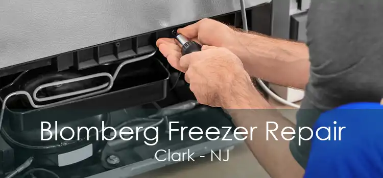 Blomberg Freezer Repair Clark - NJ