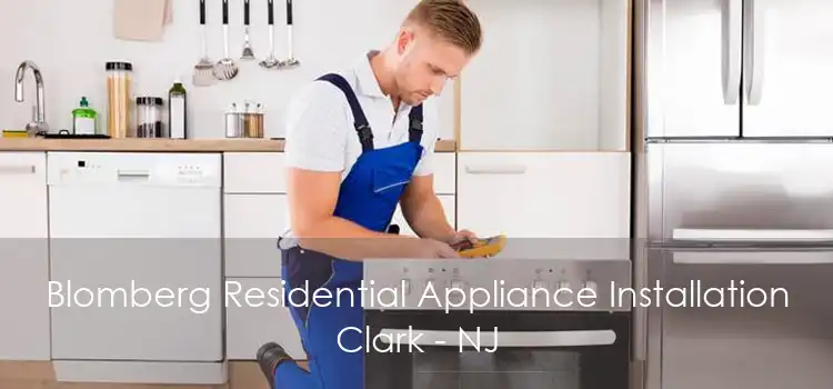 Blomberg Residential Appliance Installation Clark - NJ