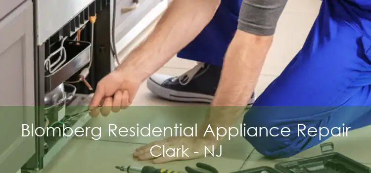 Blomberg Residential Appliance Repair Clark - NJ