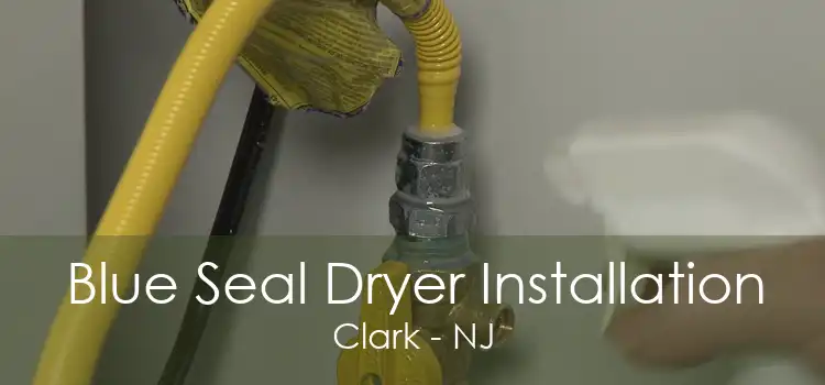 Blue Seal Dryer Installation Clark - NJ