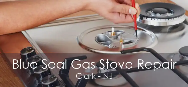 Blue Seal Gas Stove Repair Clark - NJ