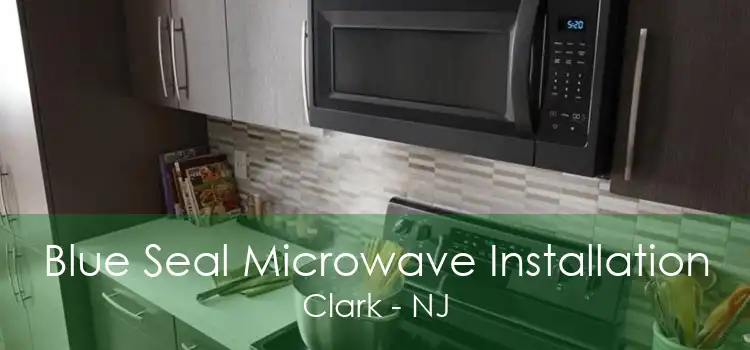 Blue Seal Microwave Installation Clark - NJ