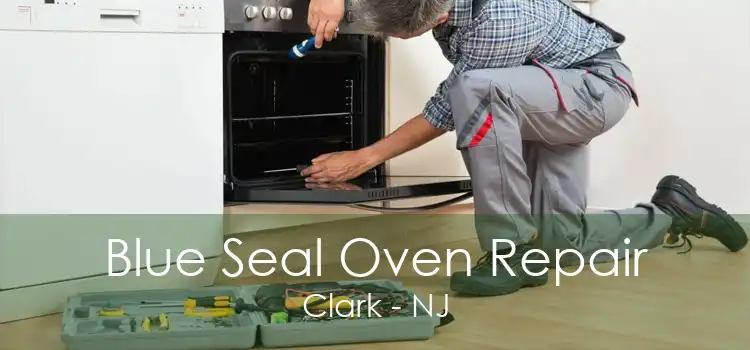 Blue Seal Oven Repair Clark - NJ