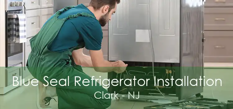 Blue Seal Refrigerator Installation Clark - NJ