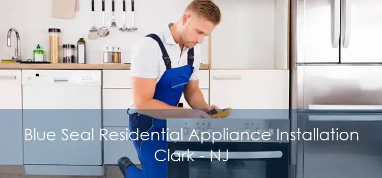 Blue Seal Residential Appliance Installation Clark - NJ