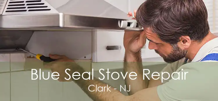 Blue Seal Stove Repair Clark - NJ