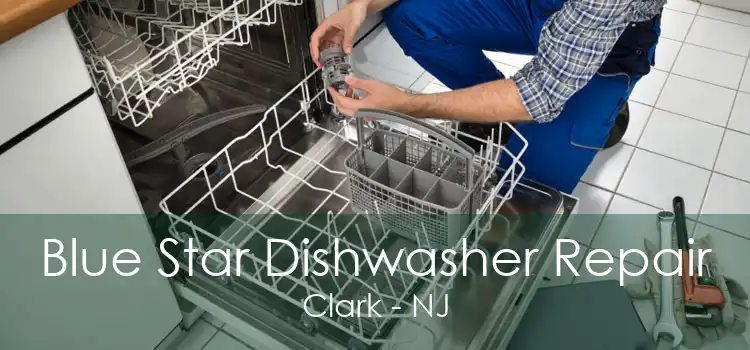 Blue Star Dishwasher Repair Clark - NJ