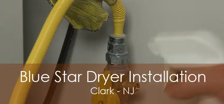 Blue Star Dryer Installation Clark - NJ