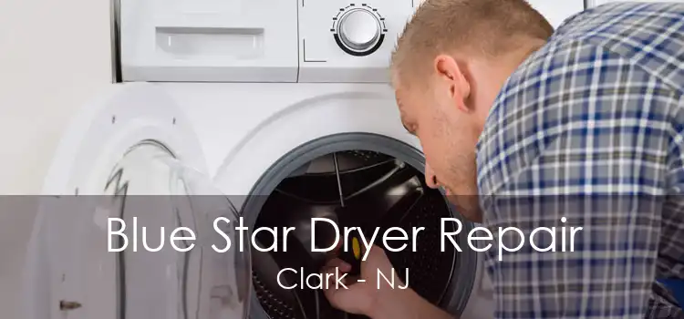 Blue Star Dryer Repair Clark - NJ