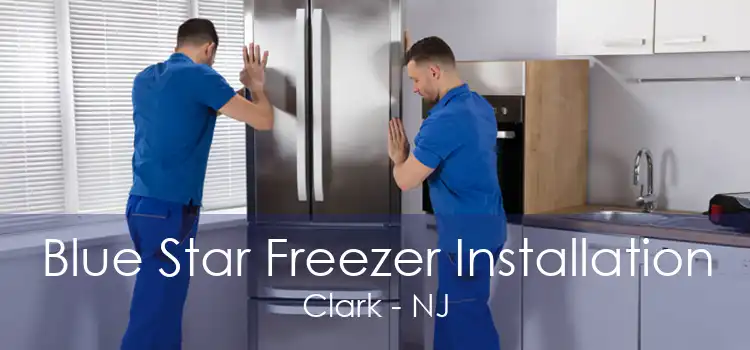 Blue Star Freezer Installation Clark - NJ