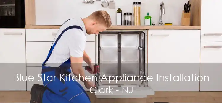 Blue Star Kitchen Appliance Installation Clark - NJ