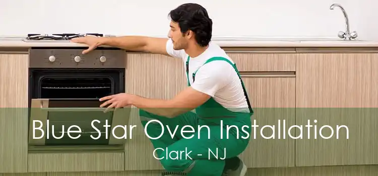 Blue Star Oven Installation Clark - NJ