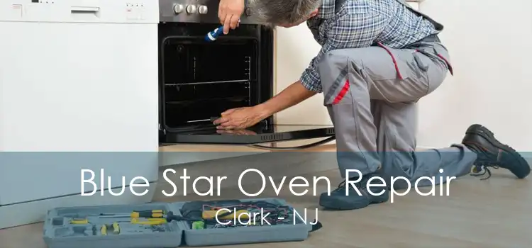 Blue Star Oven Repair Clark - NJ