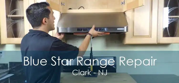 Blue Star Range Repair Clark - NJ