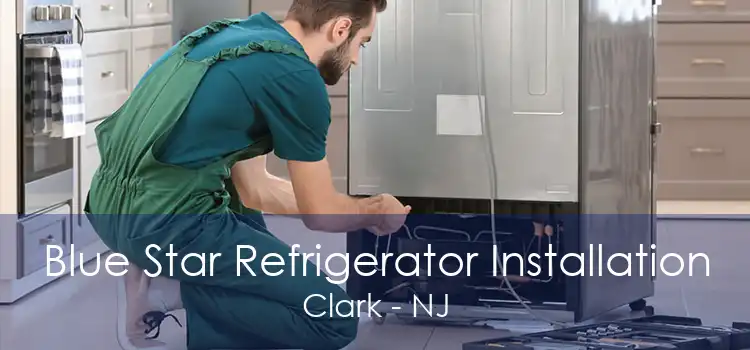 Blue Star Refrigerator Installation Clark - NJ