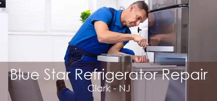 Blue Star Refrigerator Repair Clark - NJ