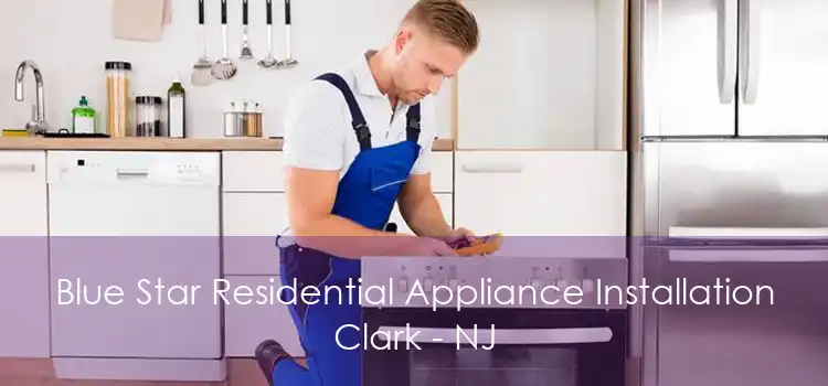 Blue Star Residential Appliance Installation Clark - NJ