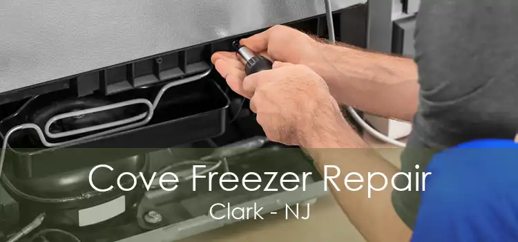 Cove Freezer Repair Clark - NJ