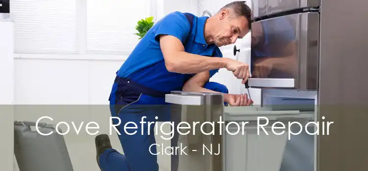 Cove Refrigerator Repair Clark - NJ