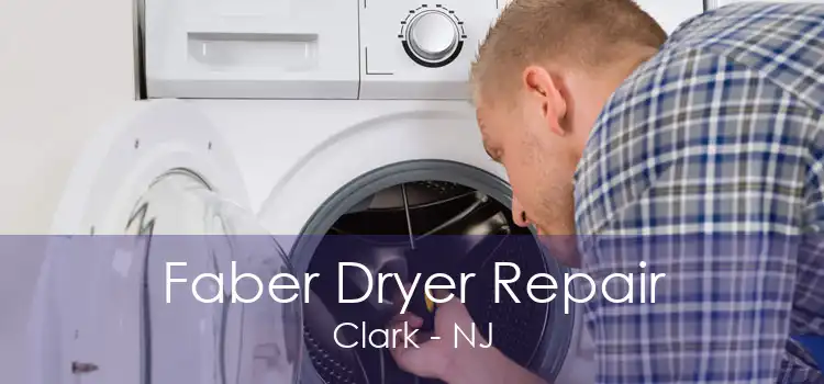 Faber Dryer Repair Clark - NJ