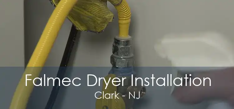 Falmec Dryer Installation Clark - NJ