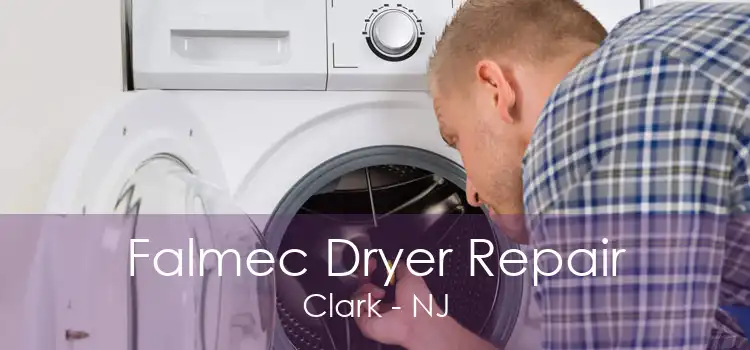 Falmec Dryer Repair Clark - NJ