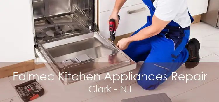 Falmec Kitchen Appliances Repair Clark - NJ