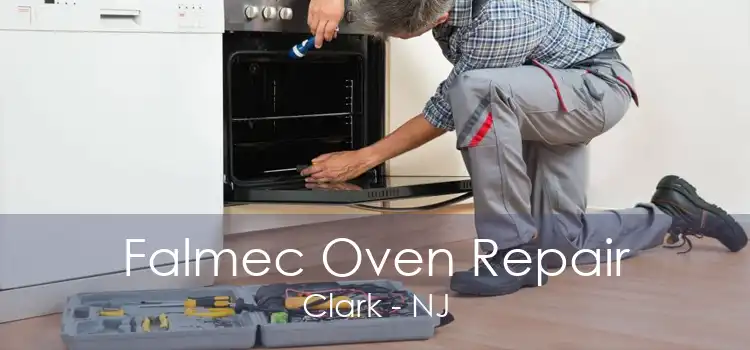 Falmec Oven Repair Clark - NJ