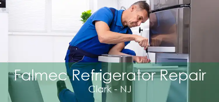 Falmec Refrigerator Repair Clark - NJ