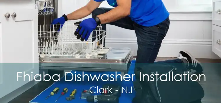 Fhiaba Dishwasher Installation Clark - NJ