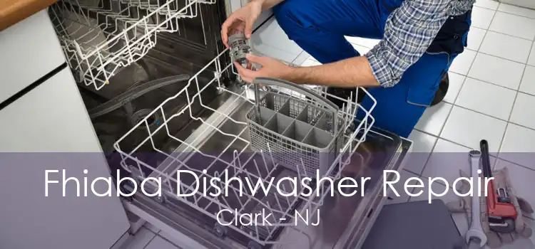 Fhiaba Dishwasher Repair Clark - NJ