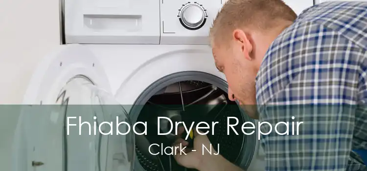 Fhiaba Dryer Repair Clark - NJ