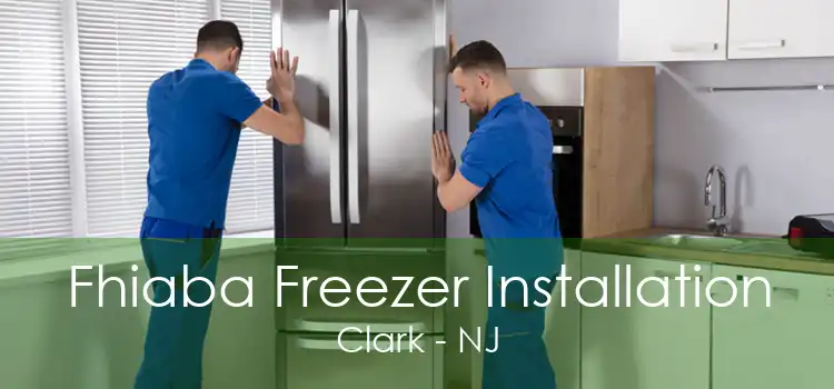 Fhiaba Freezer Installation Clark - NJ