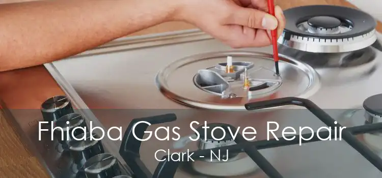 Fhiaba Gas Stove Repair Clark - NJ