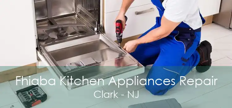 Fhiaba Kitchen Appliances Repair Clark - NJ