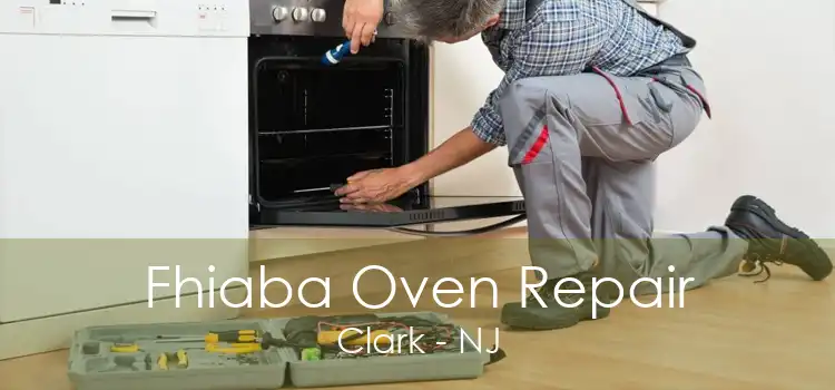 Fhiaba Oven Repair Clark - NJ