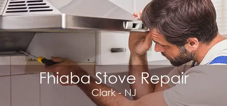 Fhiaba Stove Repair Clark - NJ