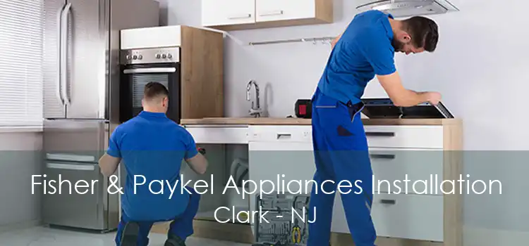 Fisher & Paykel Appliances Installation Clark - NJ