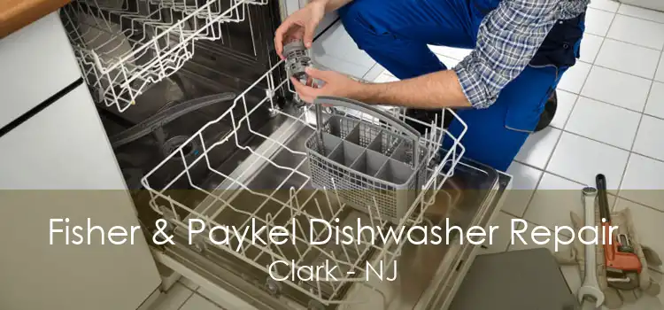 Fisher & Paykel Dishwasher Repair Clark - NJ