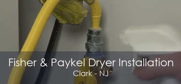 Fisher & Paykel Dryer Installation Clark - NJ