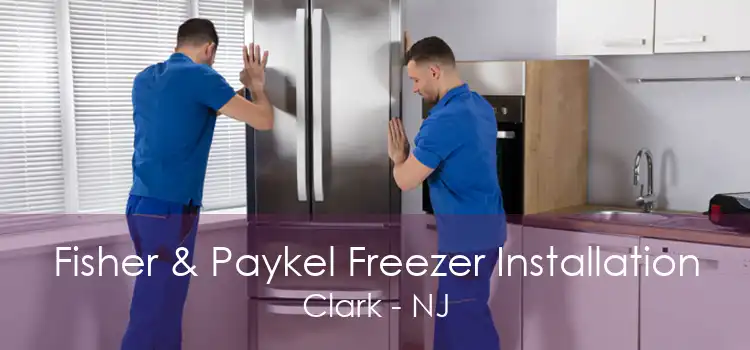 Fisher & Paykel Freezer Installation Clark - NJ