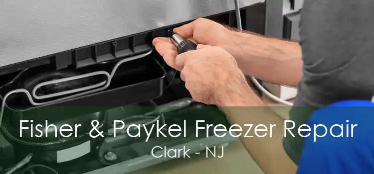 Fisher & Paykel Freezer Repair Clark - NJ