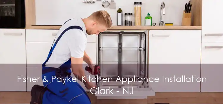 Fisher & Paykel Kitchen Appliance Installation Clark - NJ