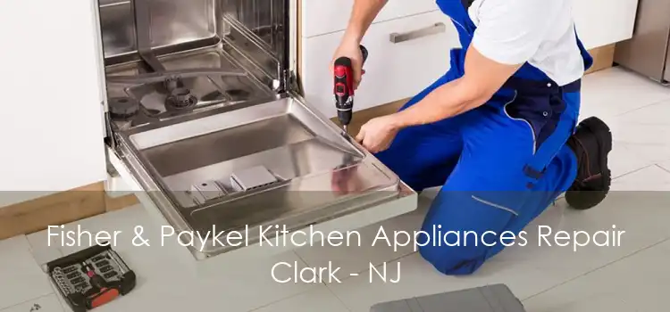 Fisher & Paykel Kitchen Appliances Repair Clark - NJ