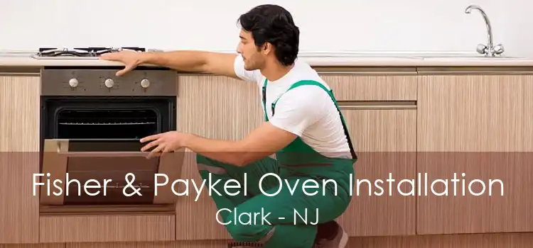 Fisher & Paykel Oven Installation Clark - NJ