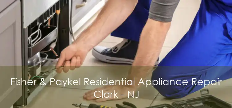 Fisher & Paykel Residential Appliance Repair Clark - NJ