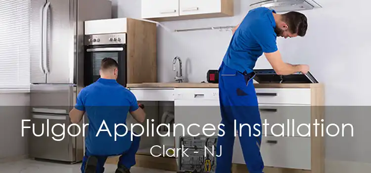 Fulgor Appliances Installation Clark - NJ