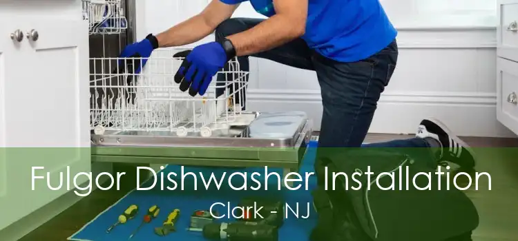 Fulgor Dishwasher Installation Clark - NJ