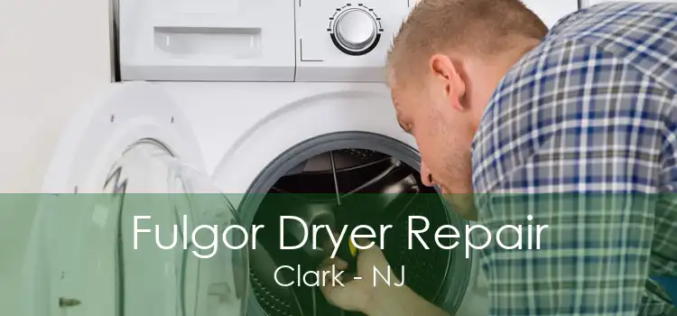 Fulgor Dryer Repair Clark - NJ