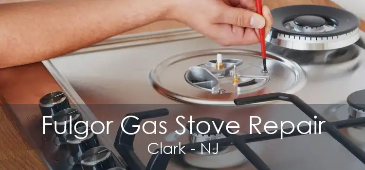 Fulgor Gas Stove Repair Clark - NJ